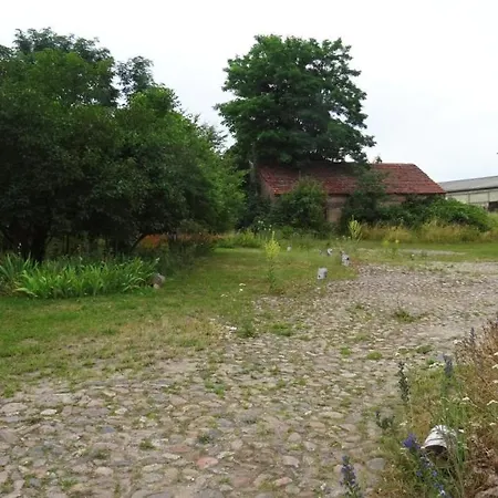 Falter Im Kunstgut * Krahne