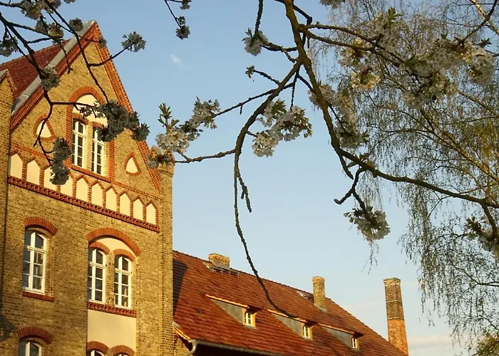 Falter Im Kunstgut * Krahne