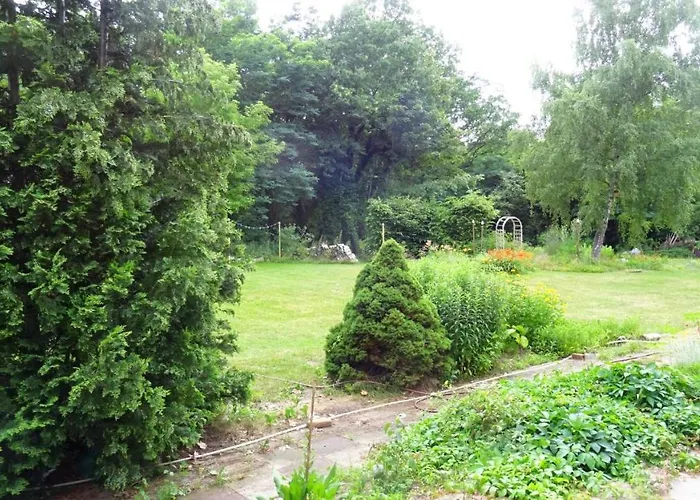 Falter Im Kunstgut Krahne