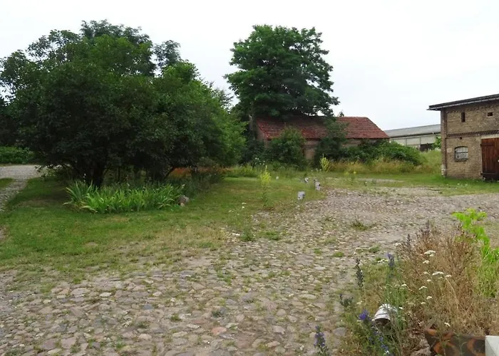 Falter Im Kunstgut * Krahne