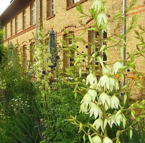 Apartment Falter Im Kunstgut Krahne