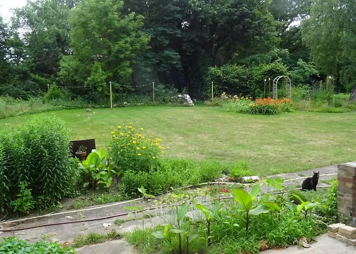 Falter Im Kunstgut Krahne