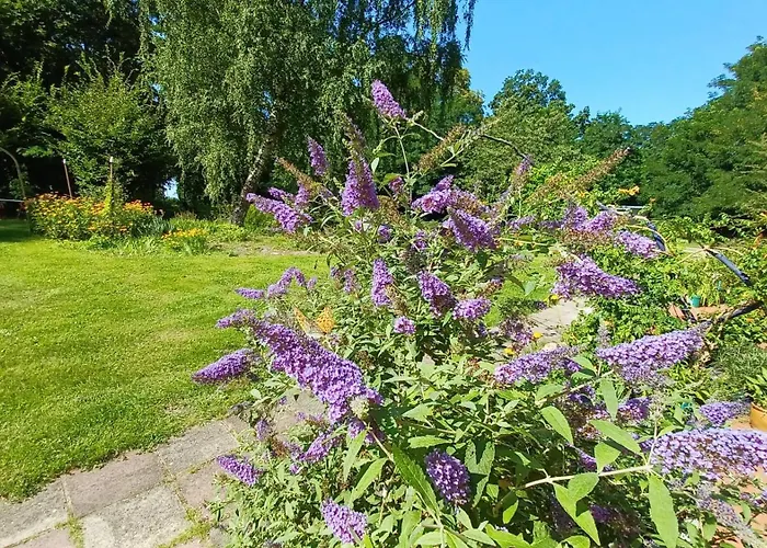 Apartment Falter Im Kunstgut *